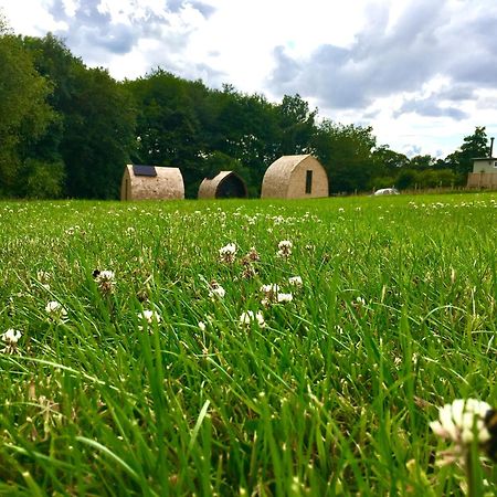 Alder Pod, Clay Bank Huts Hotel Ingleby Greenhow Exterior foto