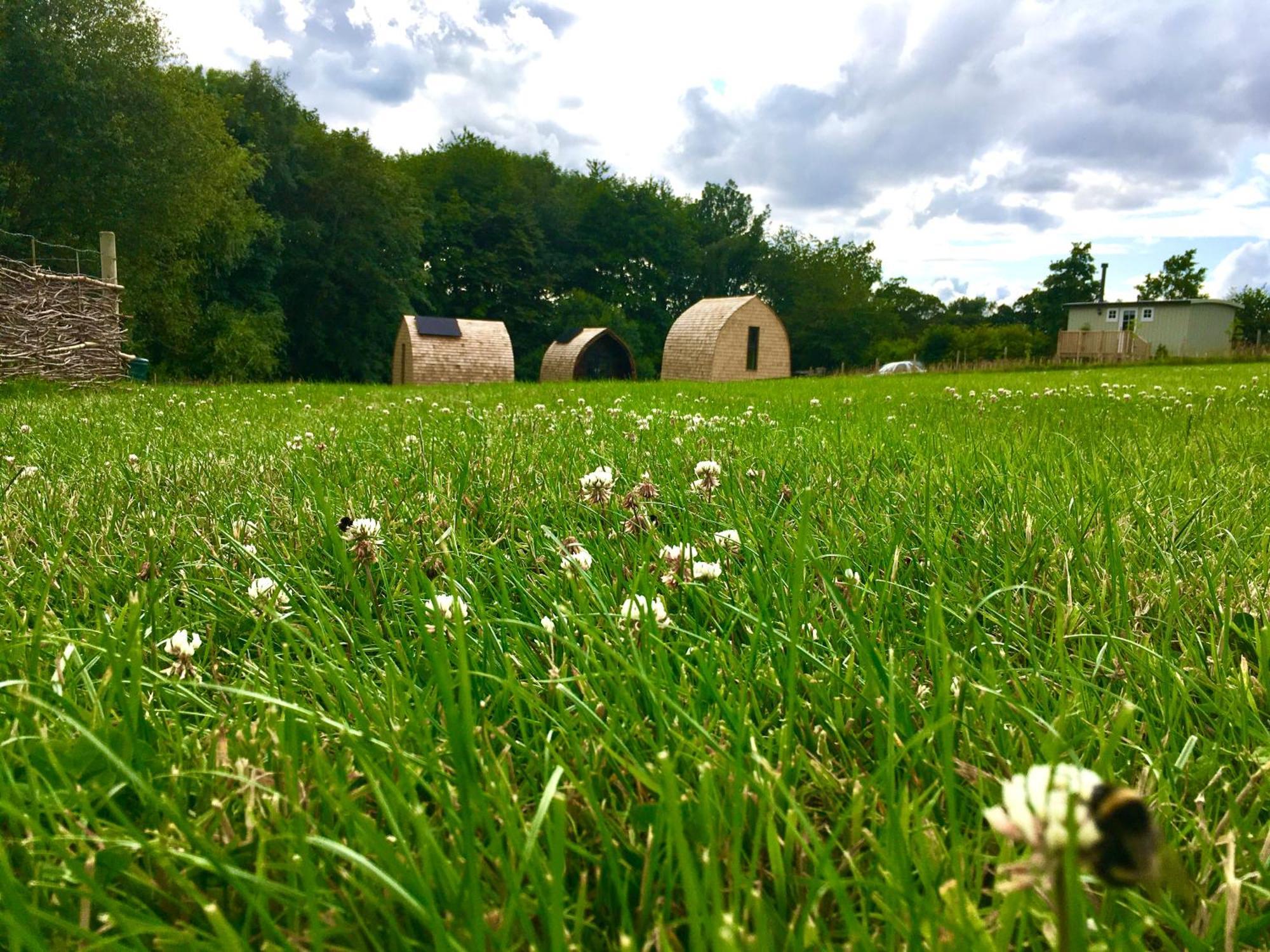 Alder Pod, Clay Bank Huts Hotel Ingleby Greenhow Exterior foto